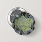 Broccoli Button (Vorne & Hinten)