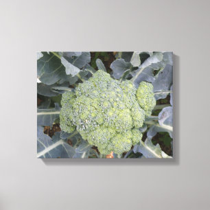 Broccoli Canvas Print Leinwanddruck