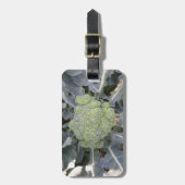 Broccoli Custom Luggage Tag Gepäckanhänger (Vorderseite vertikal)