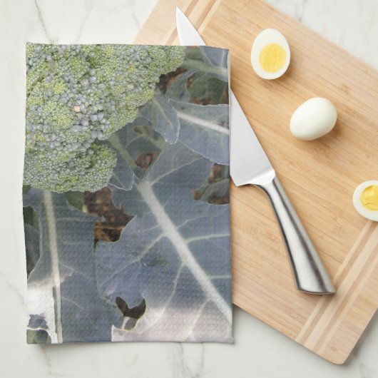 Broccoli Küchentuch (Viertel Falte)