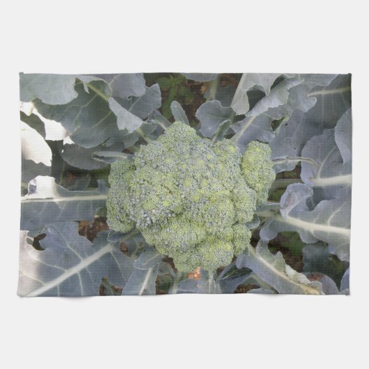 Broccoli Küchentuch (Horizontal)
