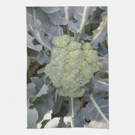 Broccoli Küchentuch (Vertikal)