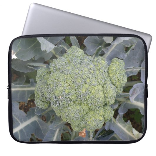 Broccoli Laptop Bag Laptopschutzhülle (Vorderseite)