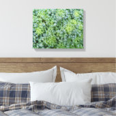 Broccoli Macro Canvas Print Leinwanddruck (Insitu (Schlafzimmer))