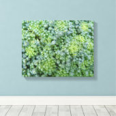 Broccoli Macro Canvas Print Leinwanddruck (Insitu (Holzboden))