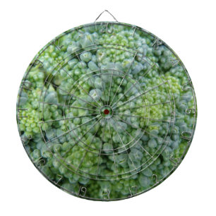 Broccoli Macro Dart Board Dartscheibe