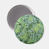 Broccoli Macro Magnet (Vorderseite/Rückseite)