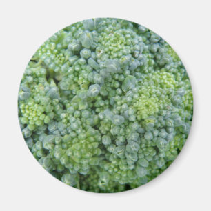 Broccoli Macro Magnet