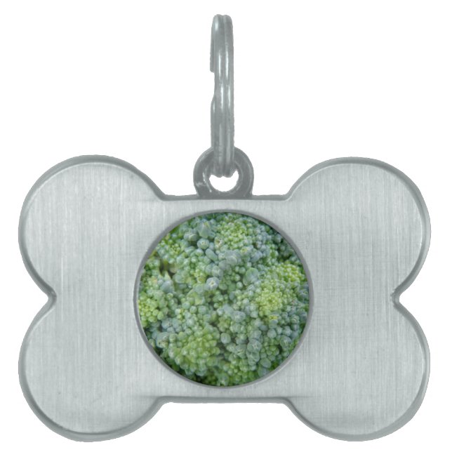 Broccoli Macro Pet Tag Tiermarke (Vorderseite)