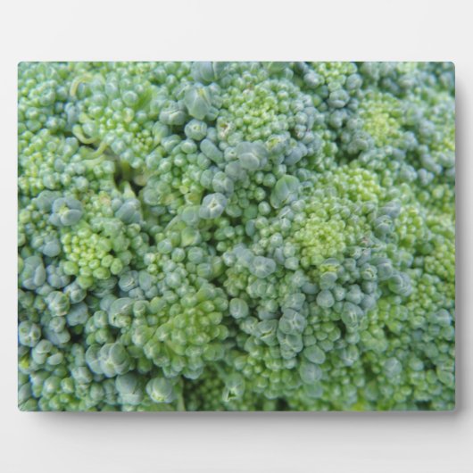Broccoli Macro Plaque Fotoplatte (Vorderseite)