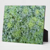 Broccoli Macro Plaque Fotoplatte (Seite)