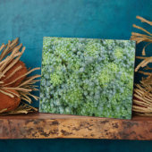 Broccoli Macro Plaque Fotoplatte (Seite)
