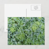 Broccoli Macro Postcard Postkarte (Vorne/Hinten)
