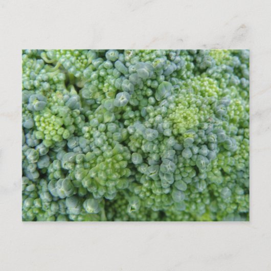 Broccoli Macro Postcard Postkarte (Vorderseite)