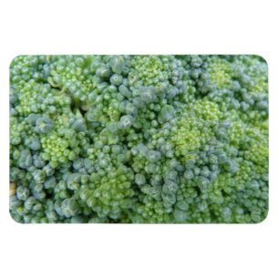Broccoli Macro Premium Magnet