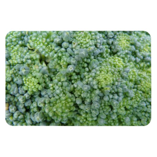 Broccoli Macro Premium Magnet (Horizontal)