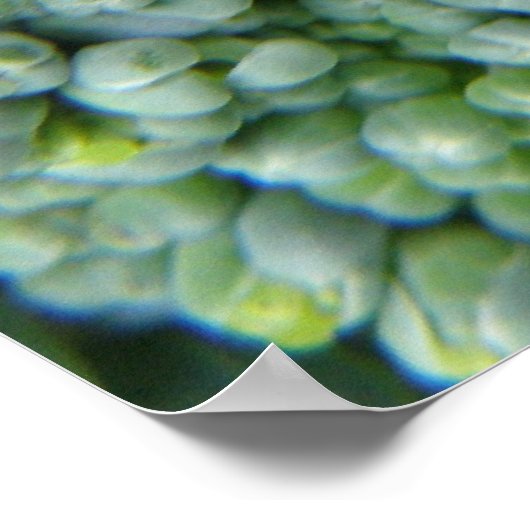 Broccoli Macro Print Poster (Ecke)