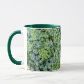 Broccoli Macro Tasse (Links)