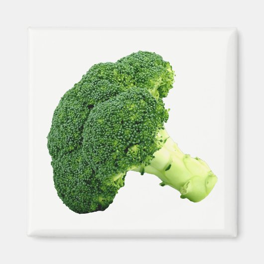 Broccoli Magnet (Vorne)