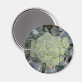 Broccoli Magnet (Vorderseite/Rückseite)