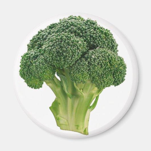 Broccoli Magnet (Vorne)