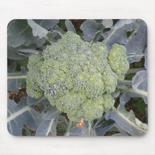 Broccoli Mousepad (Vorne)