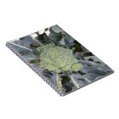 Broccoli-Notebook Notizblock (Rechte Seite)