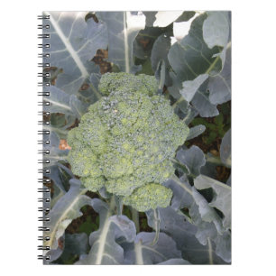Broccoli-Notebook Notizblock
