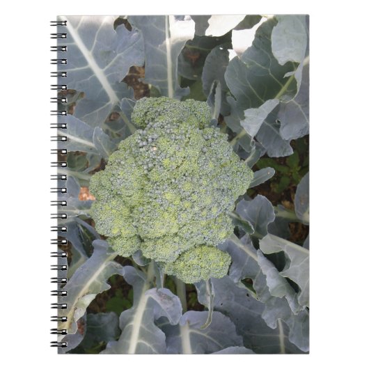 Broccoli-Notebook Notizblock (Vorderseite)