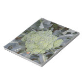 Broccoli Notepad Notizblock (Rotiert)