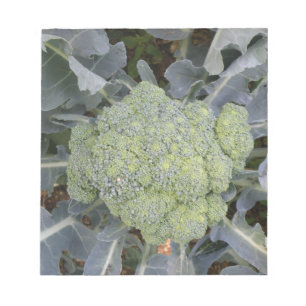 Broccoli Notepad Notizblock