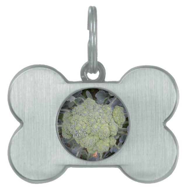 Broccoli Pet Tag Tiermarke (Vorderseite)