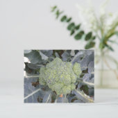 Broccoli Postcard Postkarte (Stehend Vorderseite)