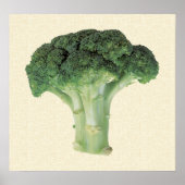 Broccoli Poster (Vorne)