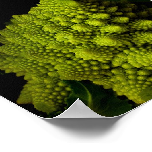 Broccoli Poster (Ecke)