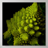 Broccoli Poster (Vorne)