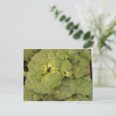 Broccoli Postkarte (Stehend Vorderseite)
