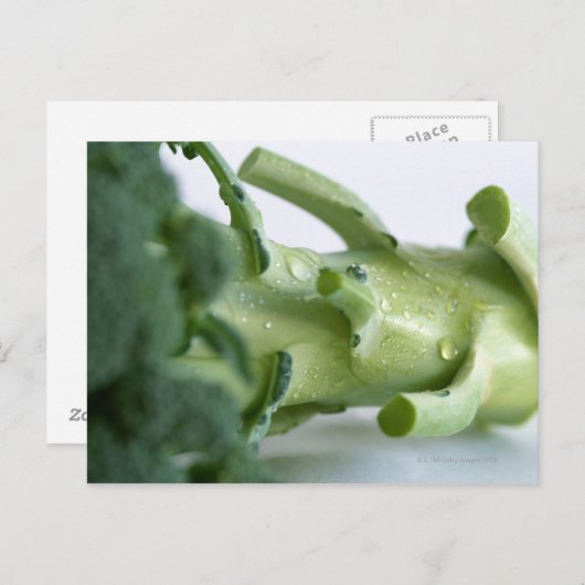 Broccoli Postkarte (Vorne/Hinten)