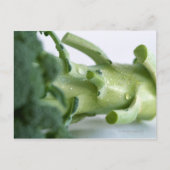 Broccoli Postkarte (Vorderseite)
