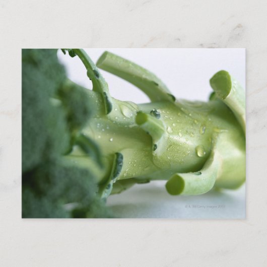 Broccoli Postkarte (Vorderseite)