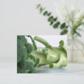 Broccoli Postkarte (Stehend Vorderseite)