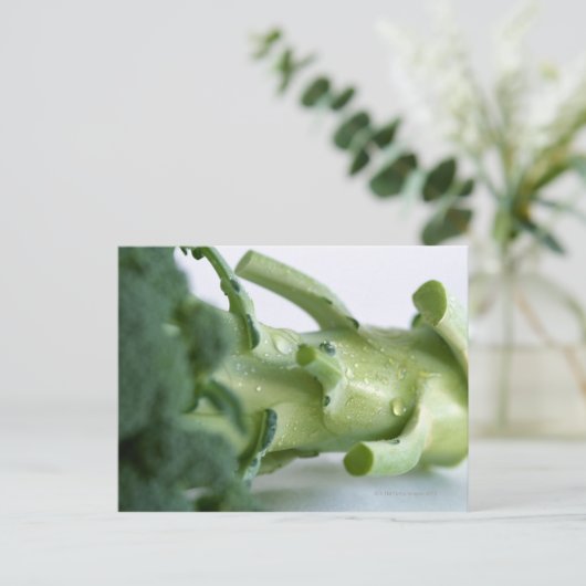 Broccoli Postkarte (Stehend Vorderseite)