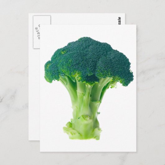 Broccoli Postkarte (Vorne/Hinten)