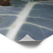 Broccoli Print Poster (Ecke)