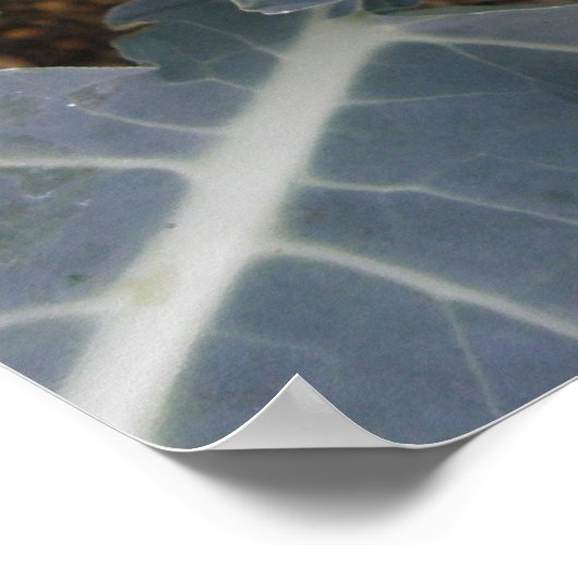 Broccoli Print Poster (Ecke)