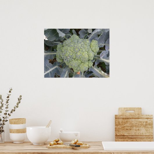 Broccoli Print Poster (Küche)