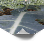 Broccoli Print Poster (Ecke)