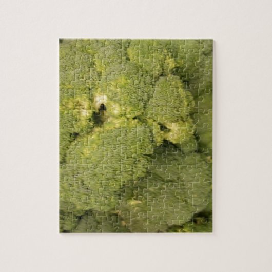 Broccoli Puzzle (Vertikal)