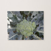 Broccoli Puzzle (Horizontal)