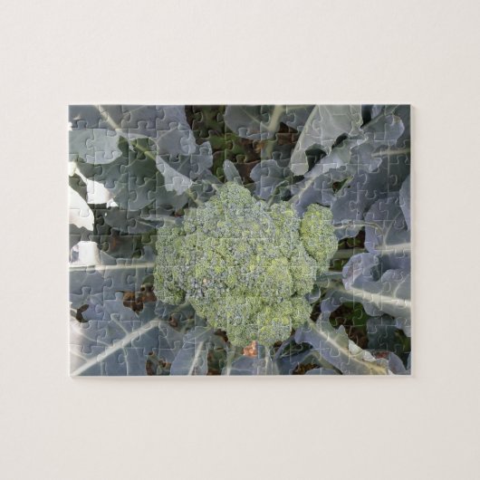 Broccoli Puzzle (Horizontal)